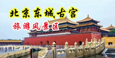 美女被草免费网站中国北京-东城古宫旅游风景区